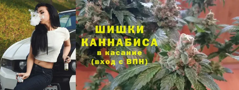 Шишки марихуана OG Kush  Гай 